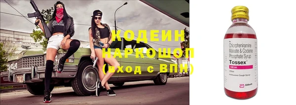прущие грибы Арсеньев