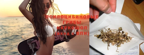 прущие грибы Арсеньев
