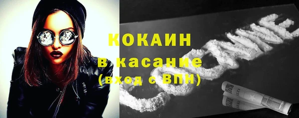 прущие грибы Арсеньев