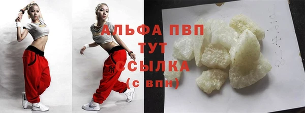 прущие грибы Арсеньев