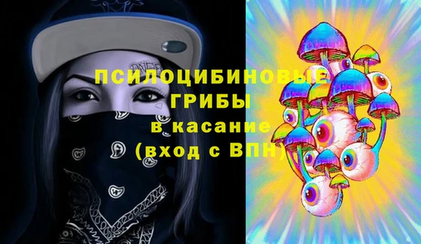 прущие грибы Арсеньев