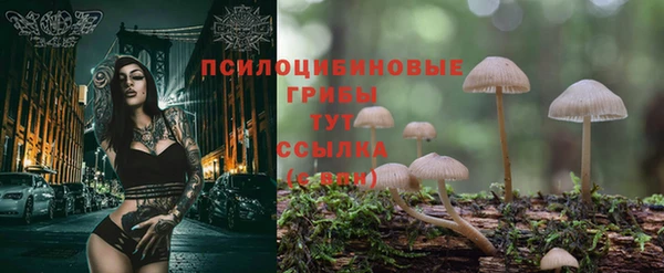таблы Армянск