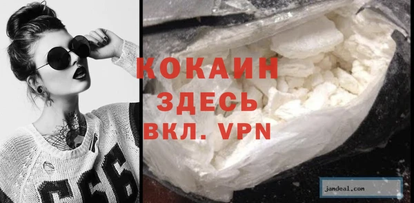 прущие грибы Арсеньев