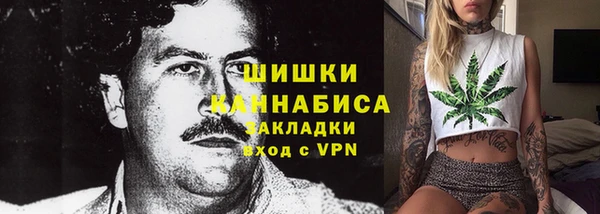 прущие грибы Арсеньев